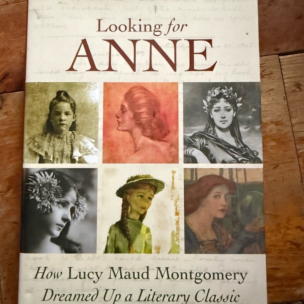 Looking for Anne Book
